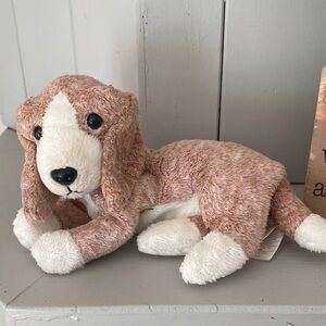 2000 Ty Beanie Puppy Dog plush SNIFFER basset hound